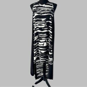 Philosophy Sleeveless High Low Chiffon Dress
